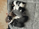 Enlarge photo 12
