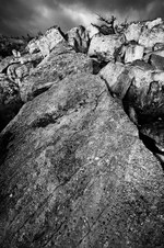 April 2009 Novice Mono Prints