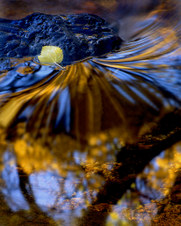 April 2010 Unlimited Digital
