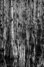 April 2016 Novice Monochrome Prints