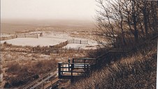 BCC Print Contest Winners-Novice Mono