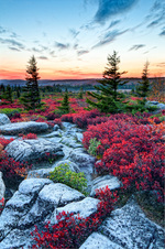 December 2011 Unlimited Color Prints