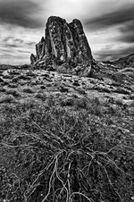 December 2011 Unlimited Mono Prints
