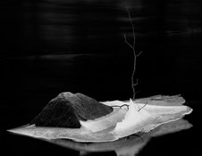 Feb 2008 Unlimited Monochrome Print