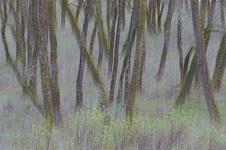 Feb 2011 Novice Digital