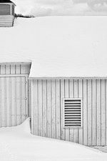 February 2010 Unlimited Mono Prints