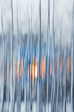 February 2011 Unlimited Color Prints