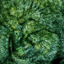 February 2015 Novice Digital