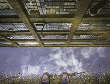 Enlarge photo 5