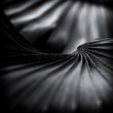 January 2014 Unlimited Monochrome Prints
