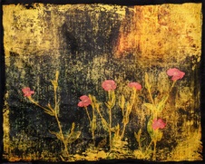 January 2015 Novice Color Prints