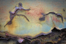 Enlarge photo 4