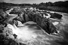 March 2011 Novice Mono Prints