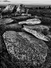 March 2011 Unlimited Mono Prints