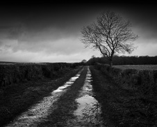 Enlarge photo 2