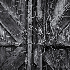 November 2012 Novice Monochrome Prints