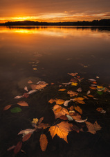 November 2013 Novice Digital