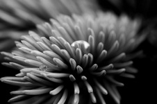 October 2012 Novice Monochrome Prints