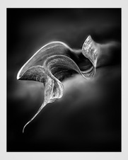 October 2013 Novice Monochrome Prints