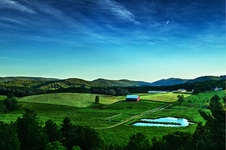 Enlarge photo 2