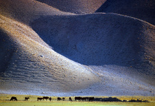 September 2015 Unlimited Color Prints