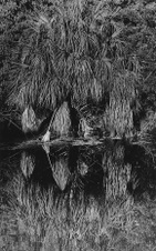 September 2017 Novice Monochrome Prints