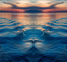 Enlarge photo 12