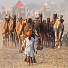 Enlarge photo 14