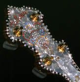 Enlarge photo 128