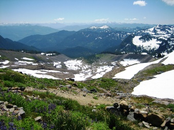Enlarge photo 15