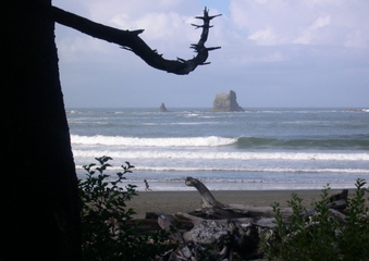 Enlarge photo 27