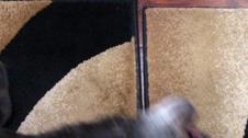 Enlarge MOV 1
