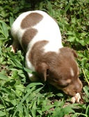 Enlarge photo 9