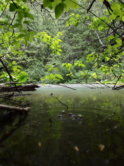 Enlarge photo 11