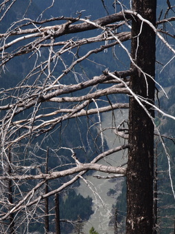 Enlarge photo 15