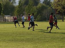 Enlarge photo 5