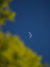 Enlarge photo 26