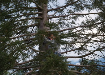 Enlarge photo 15