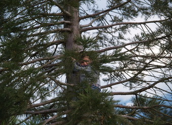 Enlarge photo 16