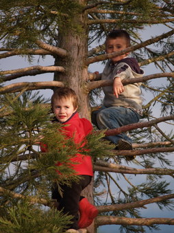 Enlarge photo 35