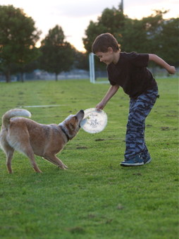Enlarge photo 9