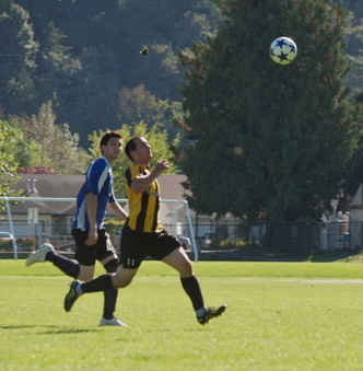 Enlarge photo 43