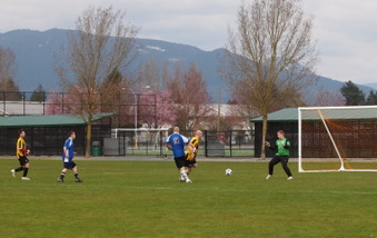 Enlarge photo 11