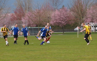 Enlarge photo 34