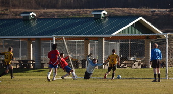 Enlarge photo 46