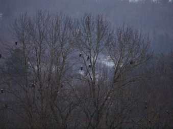 Enlarge photo 25