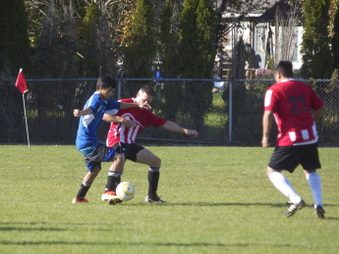Enlarge photo 7