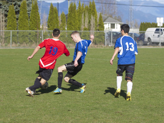 Enlarge photo 13