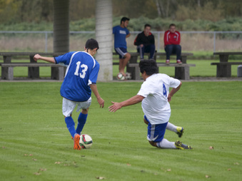 Enlarge photo 24
