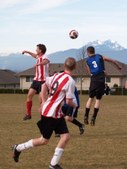 Enlarge photo 25